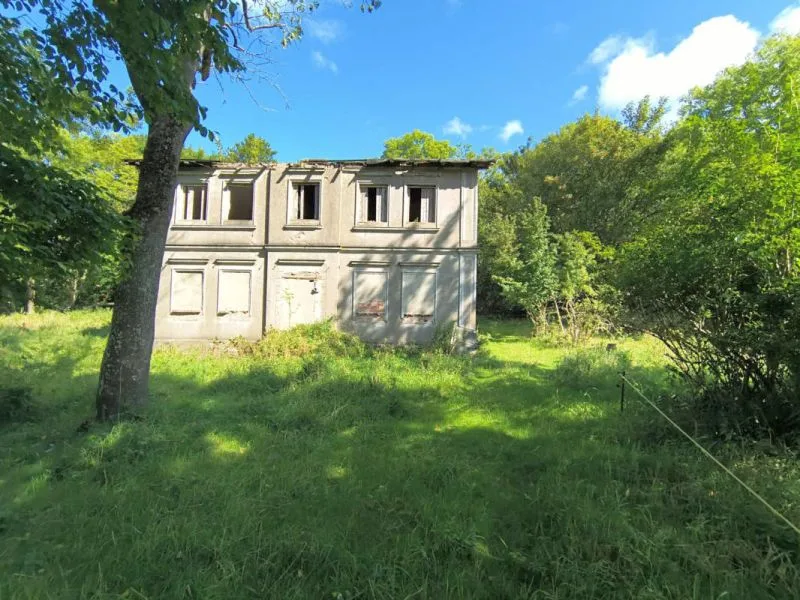 Land-/Forstwirtschaftsflächen und Grundstück mit ruinösem Haus in Promoisel — Bild 3