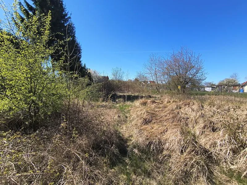 Unbebautes Grundstück in Altenkirchen OT Schwarbe — Bild 2