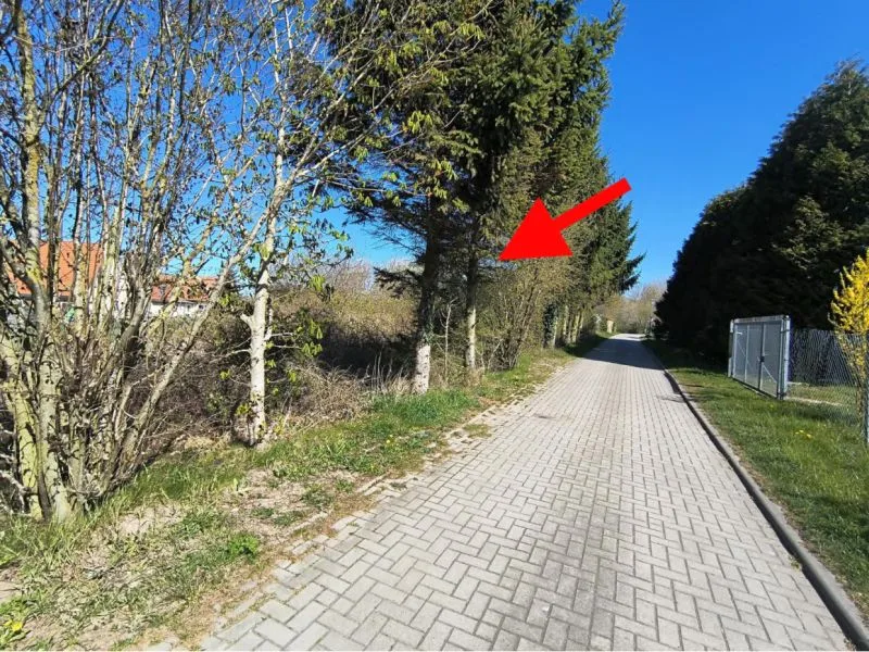 Unbebautes Grundstück in Altenkirchen OT Schwarbe — Bild 3