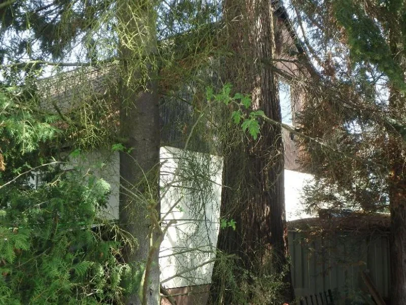Einfamilienhaus mit massiver Garage in Berlin — Bild 2