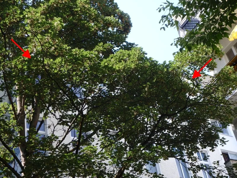 3-Zimmer-Wohnung in Berlin — Bild 3