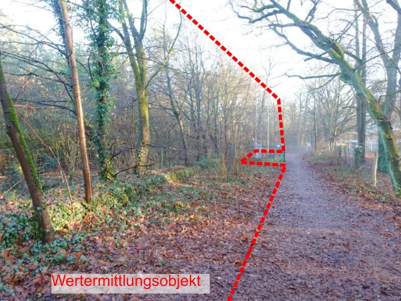 Unbebautes Grundstück (Waldfläche) in Berlin — Bild 3