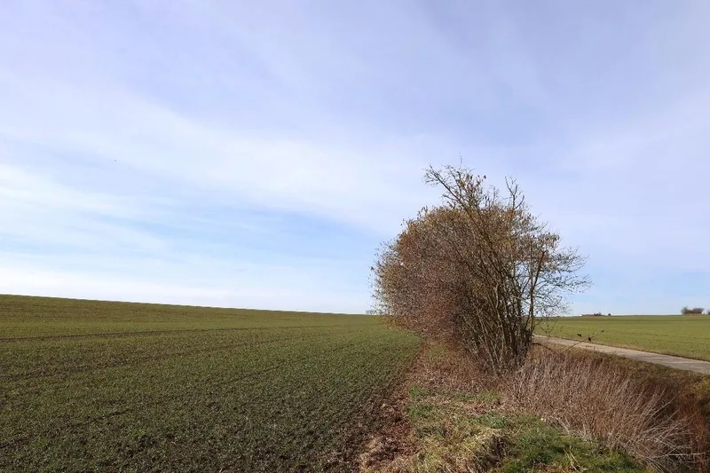 Ackerland in Gemeinde An der Poststraße OT Wischroda — Bild 3