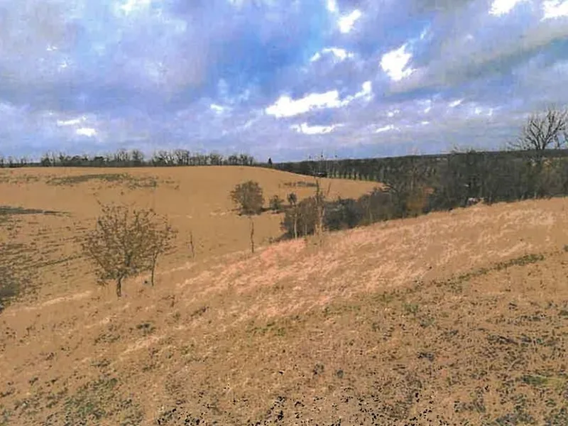 Landwirtschaftsflächen in Schwedt/Oder OT Passow — Bild 2