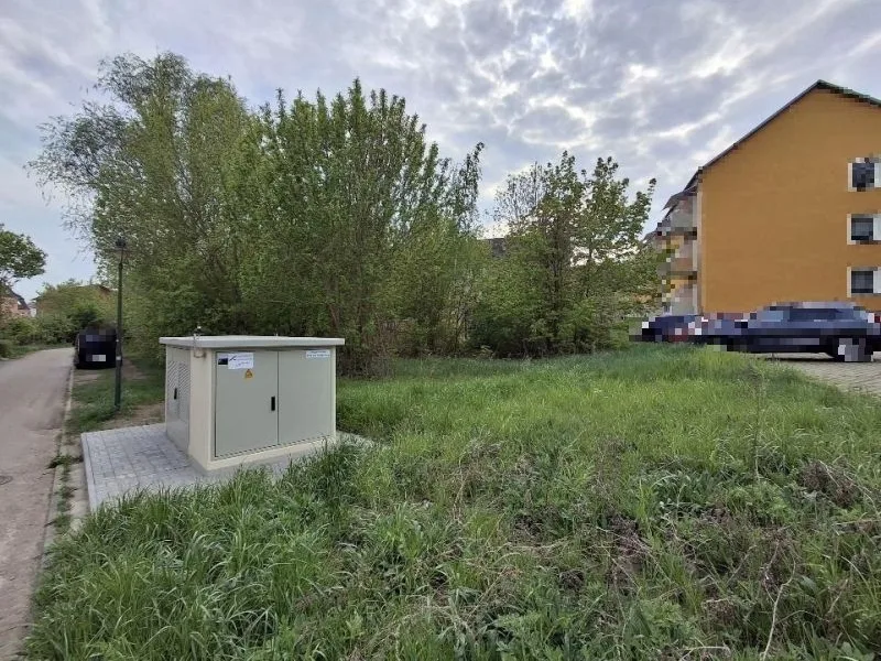 Unbebautes, stark verwildertes Grundstück in Angermünde