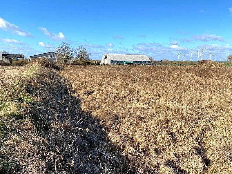 Freifläche in Uckerland OT Trebenow — Bild 2