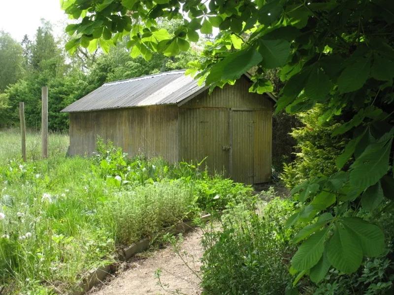 Zweifamilienwohnhaus mit Garage/Stall in Schönwalde am Bungsberg — Bild 3