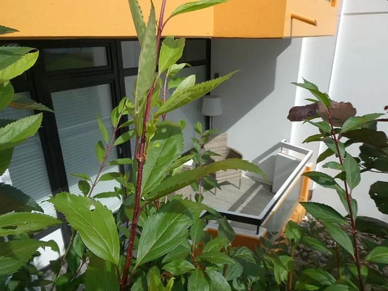 2-Zimmer-Wohnung in Scharbeutz — Bild 3