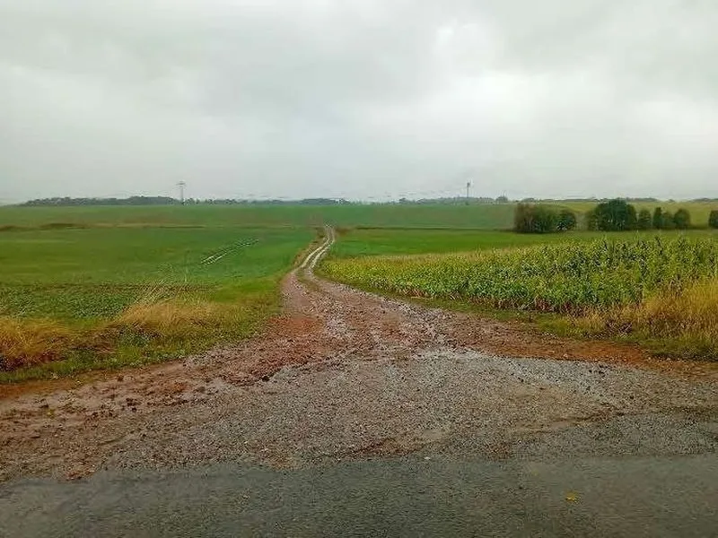 Landwirtschaftsflächen in Warnkenhagen — Bild 2