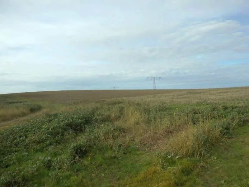 Landwirtschaftsflächen in Warnkenhagen — Bild 3