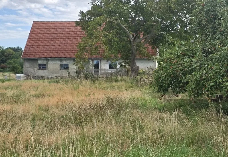 Einfamilienwohnhaus (ehem. Bauernhaus mit Stallteil und Heuboden) in Laage OT Drölitz — Bild 3