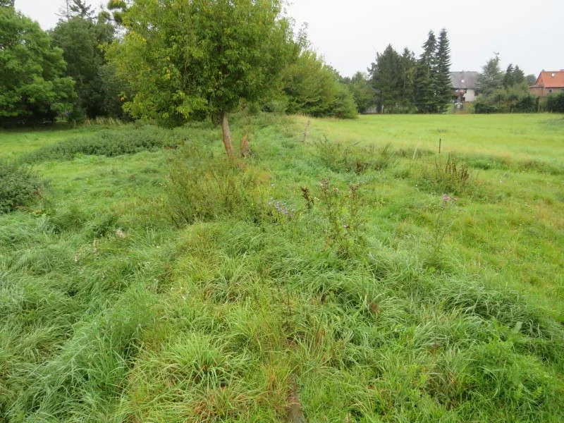 Landwirtschaftsfläche in Dahmen — Bild 2