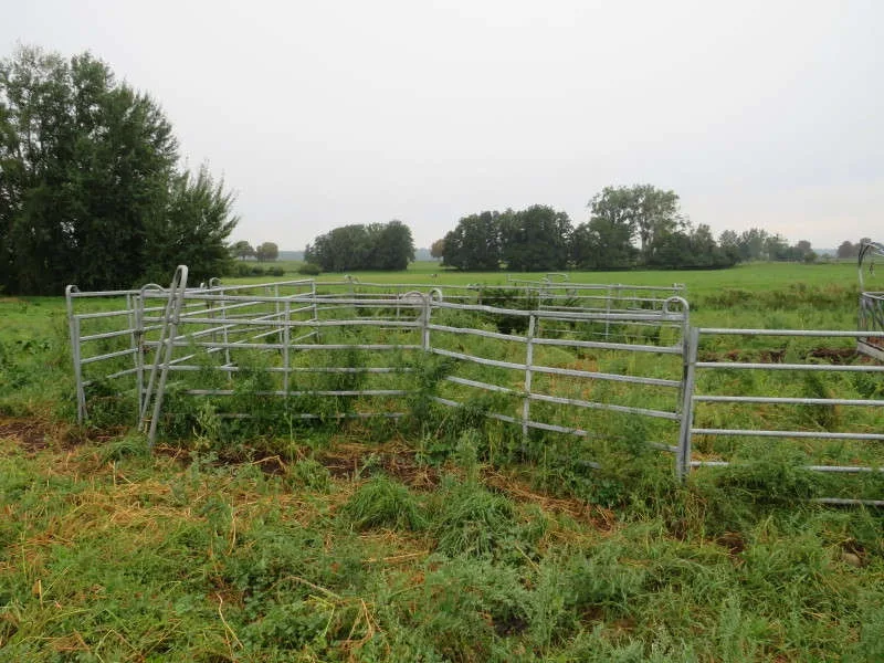 Landwirtschaftsfläche in Dahmen — Bild 3