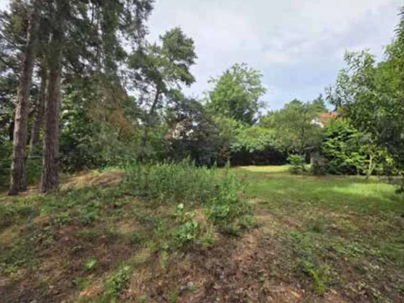 Im Wesentlichen unbebautes Grundstück in Schulzendorf — Bild 3