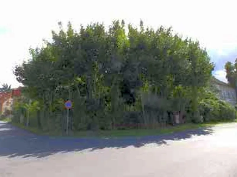 Grundstück mit Garage in Bestensee — Bild 2