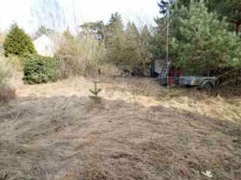 Einfamilienhaus in Königs Wusterhausen OT Zernsdorf — Bild 3