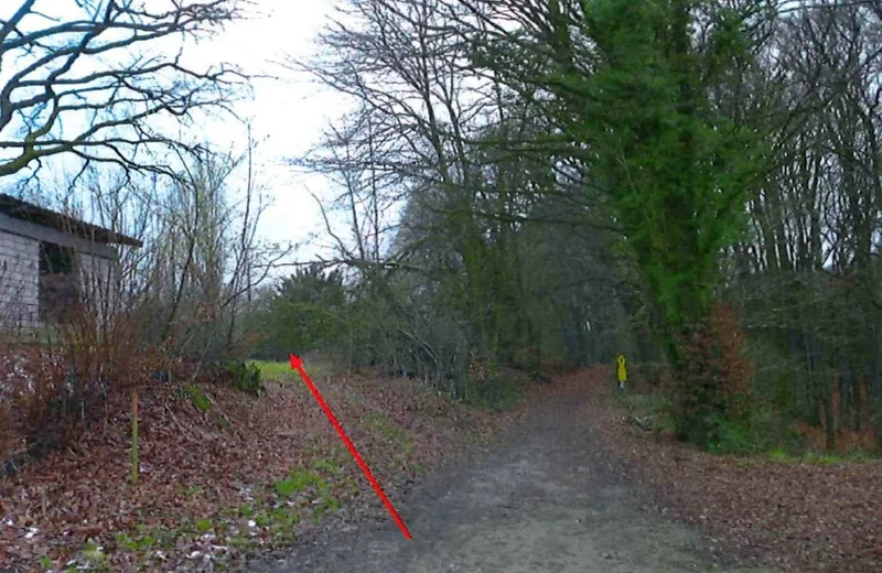 Landwirtschaftsfläche (Grünland) in Escheburg — Bild 2