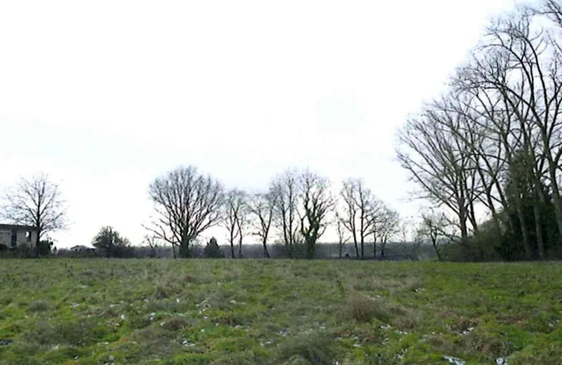 Landwirtschaftsfläche (Grünland) in Escheburg — Bild 3