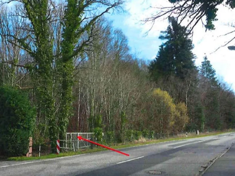 Waldfläche in Escheburg — Bild 3