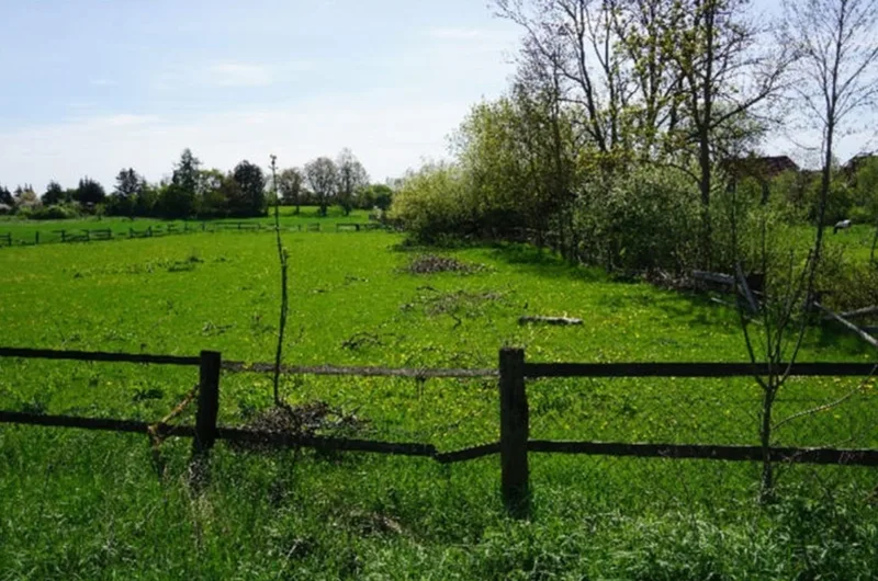Wohnhaus mit Nebengebäuden und Grünland in Ingersleben OT Eimersleben