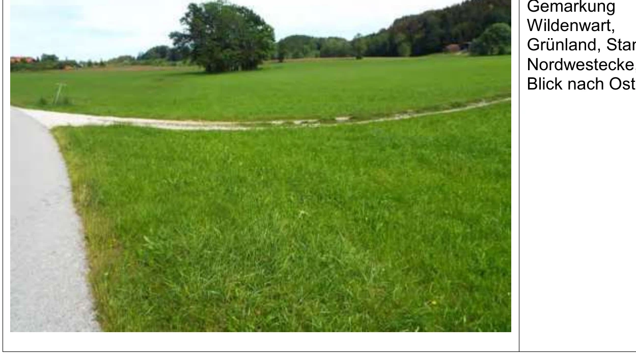 Wohnhaus (Hofstelle) und land- und forstwirtschaftlich genutzte Grundstücke in Prien am Chiemsee — Bild 3