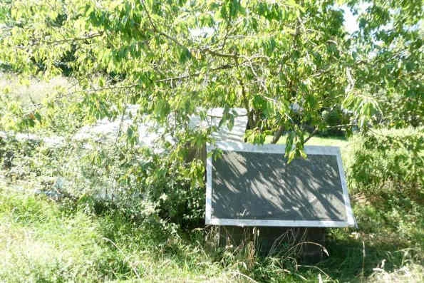 gewerblich genutztes Grundstück in Stadtilm — Bild 2