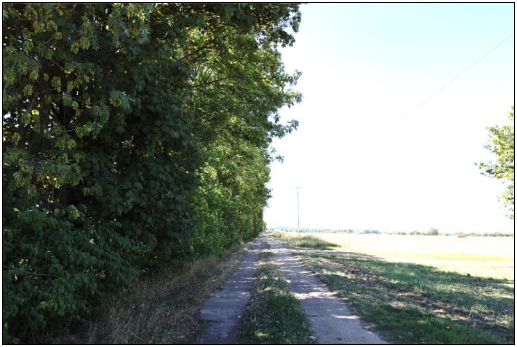 land- und forstwirtschaftlich genutztes Grundstück in Am Ettersberg — Bild 3