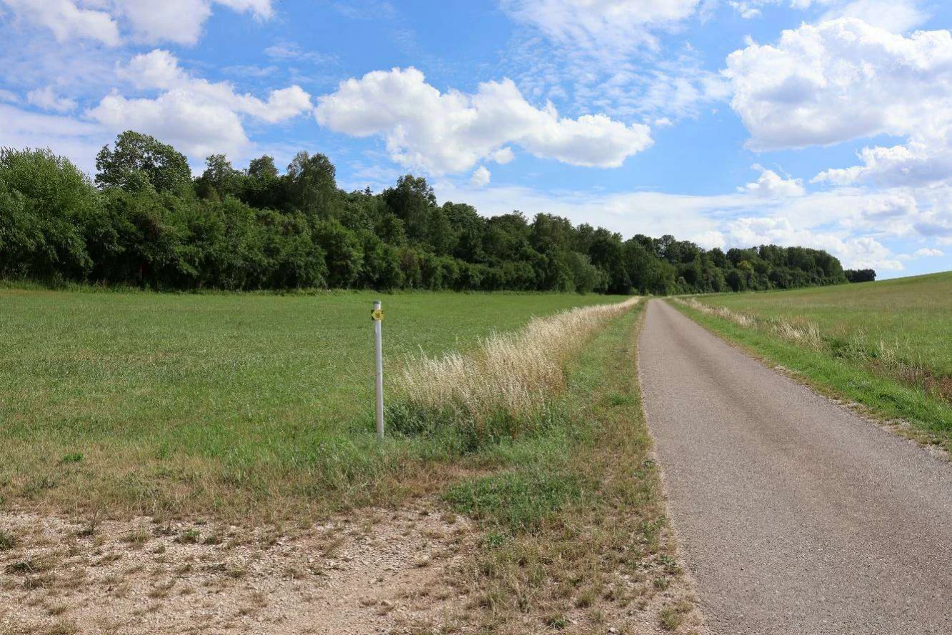 land- und forstwirtschaftlich genutztes Grundstück in Huisheim