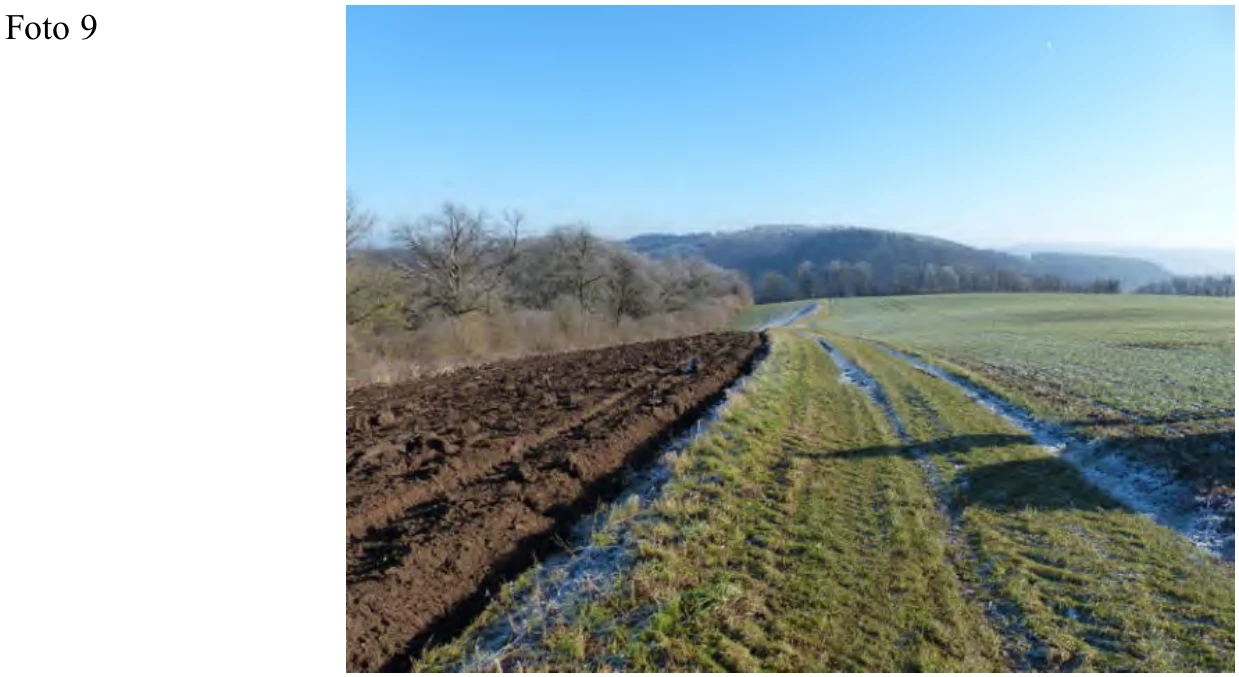 land- und forstwirtschaftlich genutztes Grundstück in Kobern-Gondorf — Bild 2