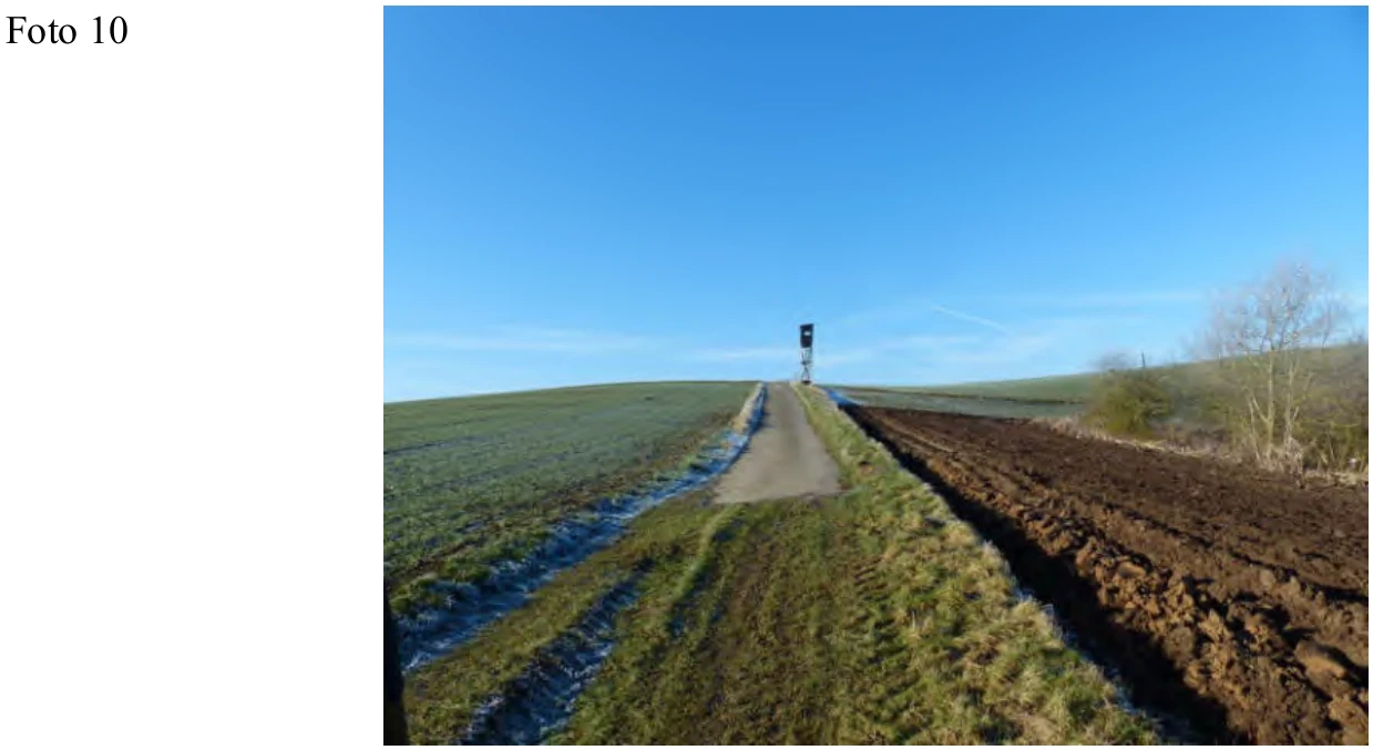 land- und forstwirtschaftlich genutztes Grundstück in Kobern-Gondorf — Bild 3