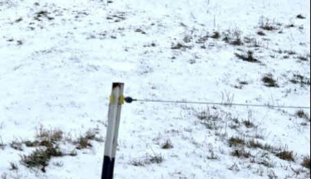 land- und forstwirtschaftlich genutztes Grundstück in Bad Berka — Bild 3