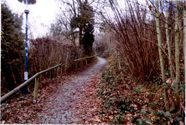 ehemalig gewerblich genutztes Grundstück (Hotel/ Restaurant); Hofraum; Garten; Grünland; Wald in Burghausen — Bild 3