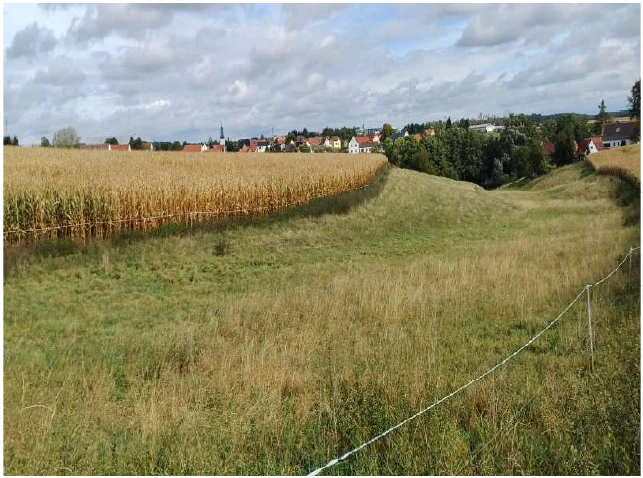 land- und forstwirtschaftlich genutztes Grundstück in Lindnkreuz