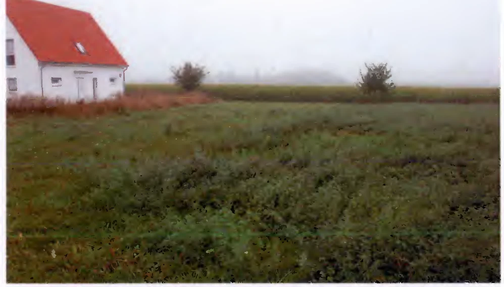 Immobilie in Nördlingen — Bild 3