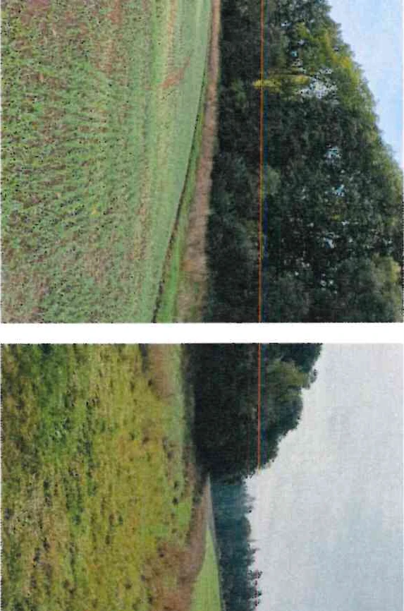 land- und forstwirtschaftlich genutztes Grundstück in Saara