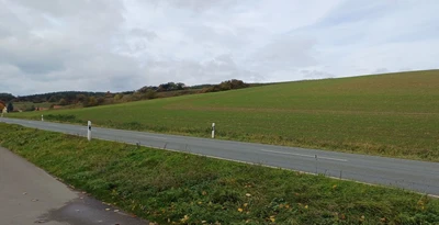 land- and forstwirtschaftlich genutztes Grundstück in Saara