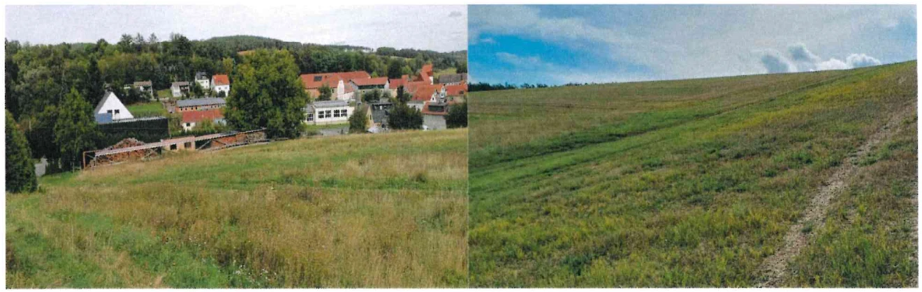 land- und forstwirtschaftlich genutztes Grundstück in Kraftsdorf