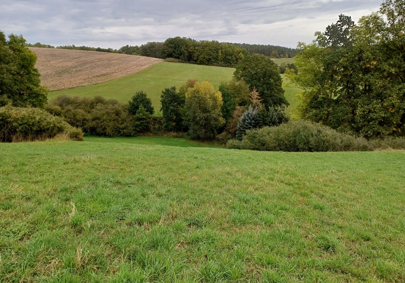 land- und forstwirtschaftlich genutztes Grundstück in Kraftsdorf