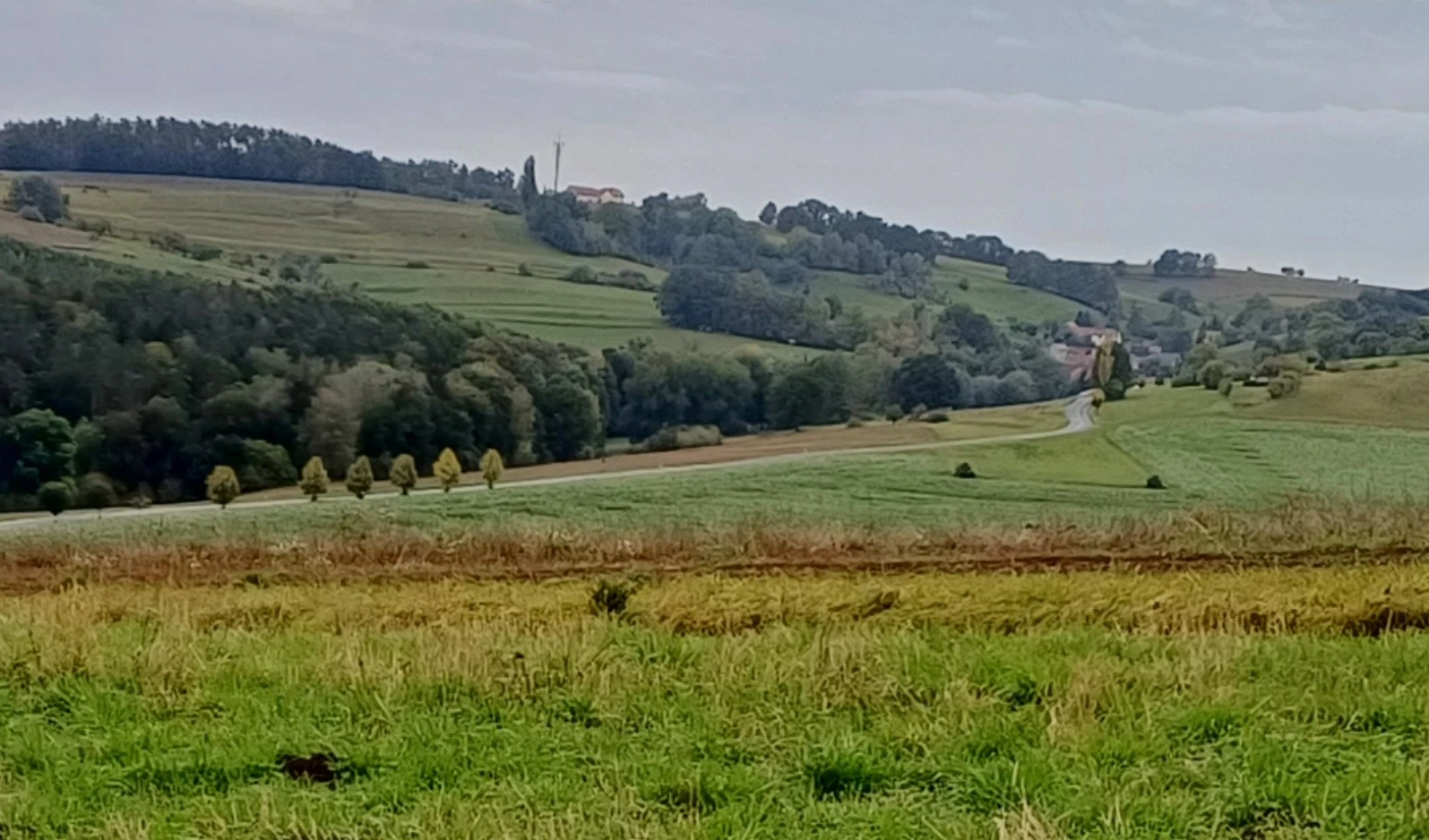 land- und forstwirtschaftlich genutztes Grundstück in Kraftsdorf — Bild 2