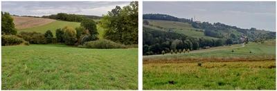 land- und forstwirtschaftlich genutztes Grundstück in Kraftsdorf
