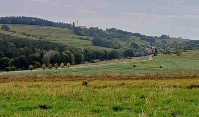 land- und forstwirtschaftlich genutztes Grundstück in Kraftsdorf