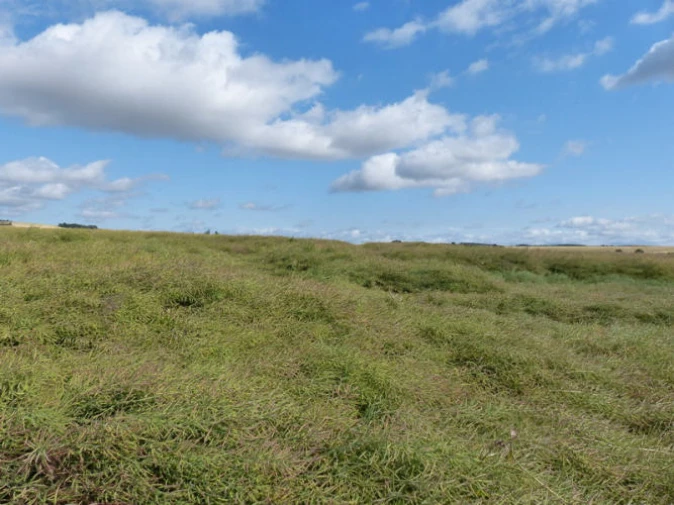 land- und forstwirtschaftlich genutztes Grundstück in Kobern-Gondorf — Bild 2