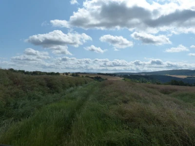 land- und forstwirtschaftlich genutztes Grundstück in Kobern-Gondorf