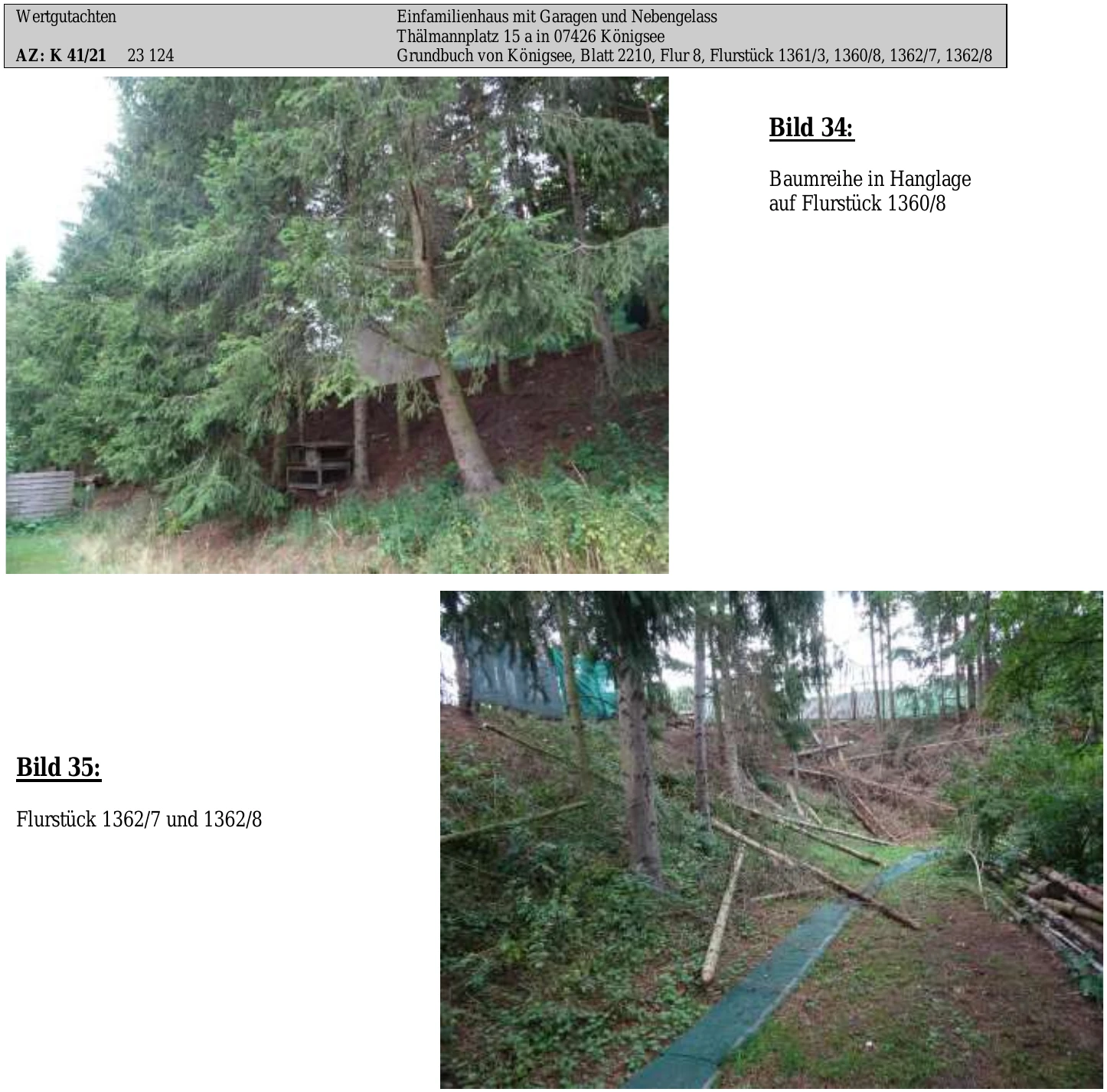 Einfamilienhaus in Königsee — Bild 3