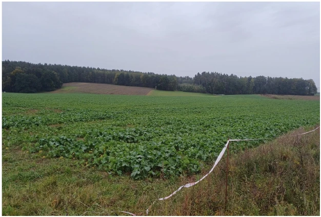 land- und forstwirtschaftlich genutztes Grundstück in Kraftsdorf — Bild 2
