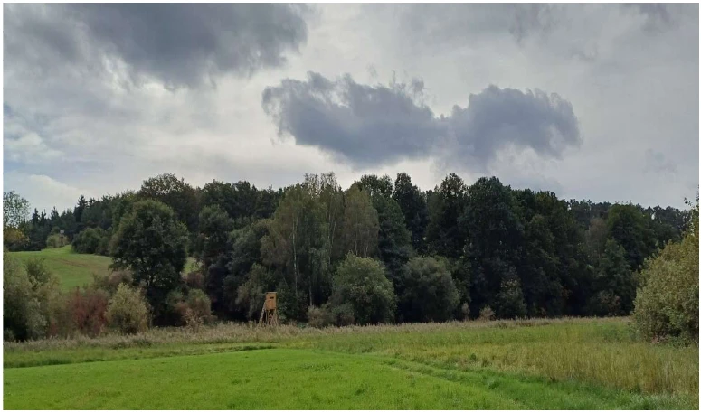 land- und forstwirtschaftlich genutztes Grundstück in Kraftsdorf — Bild 2