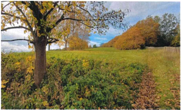 land- und forstwirtschaftlich genutztes Grundstück in Kraftsdorf — Bild 3