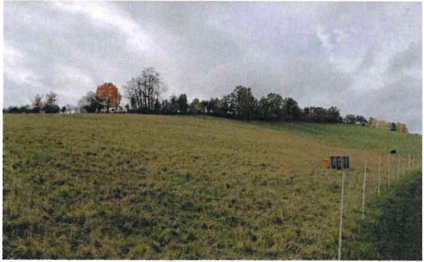 land- und forstwirtschaftlich genutztes Grundstück in Kraftsdorf — Bild 2