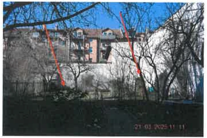 Eigentumswohnung (1 bis 2 Zimmer) in Erfurt — Bild 2