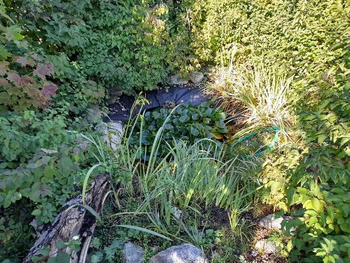 Einfamilienhaus in Kissing — Bild 2